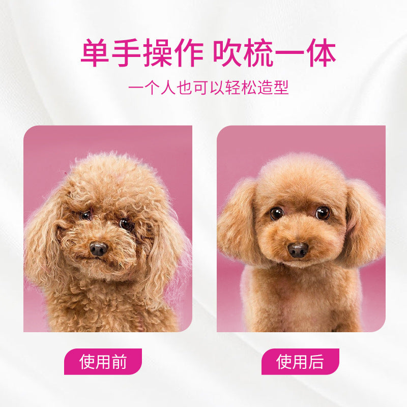 Pet Hair Dryer Golden Retriever Pet Shop Hair Dryer Dog Drying Brush Hair Comb Silent No Damage Hair Water Blower